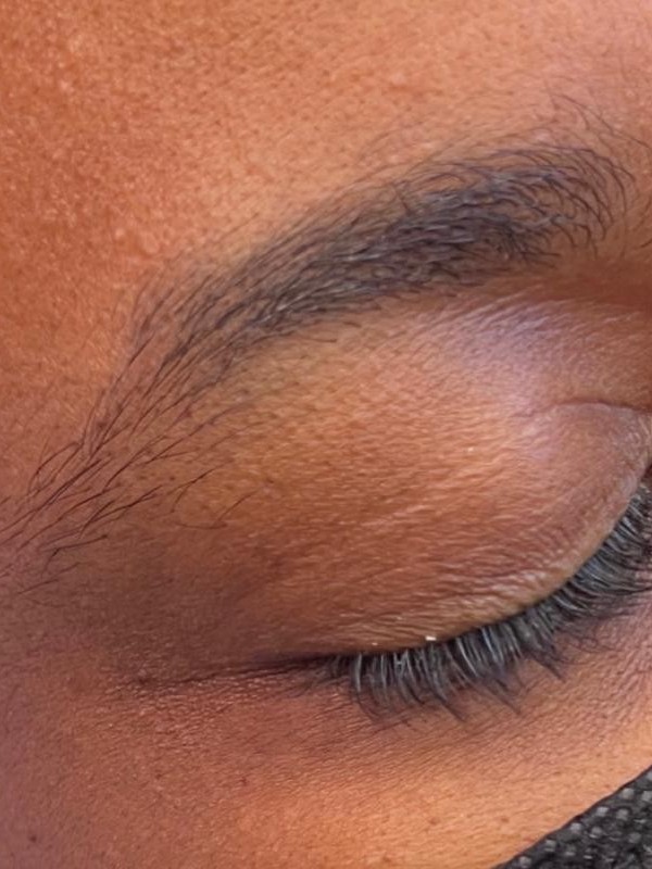 Powder Brows before client result