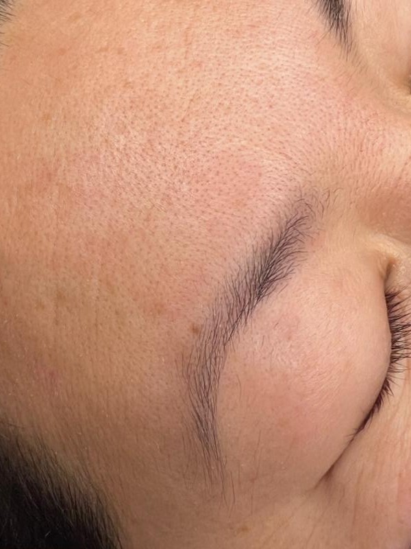 Powder Brows before client result