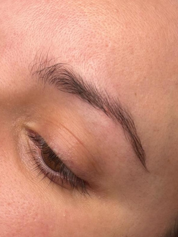 Powder Brows before client result
